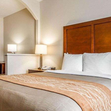 Comfort Inn & Suites Oakland Airport Экстерьер фото